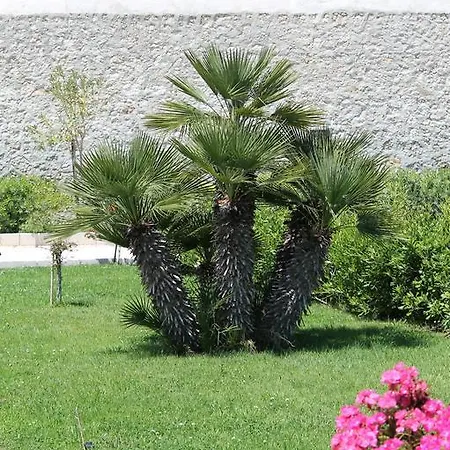 ホテル Boutique Il Castellino Relais 4*